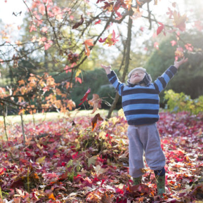 A small child playing in the fallen leaves