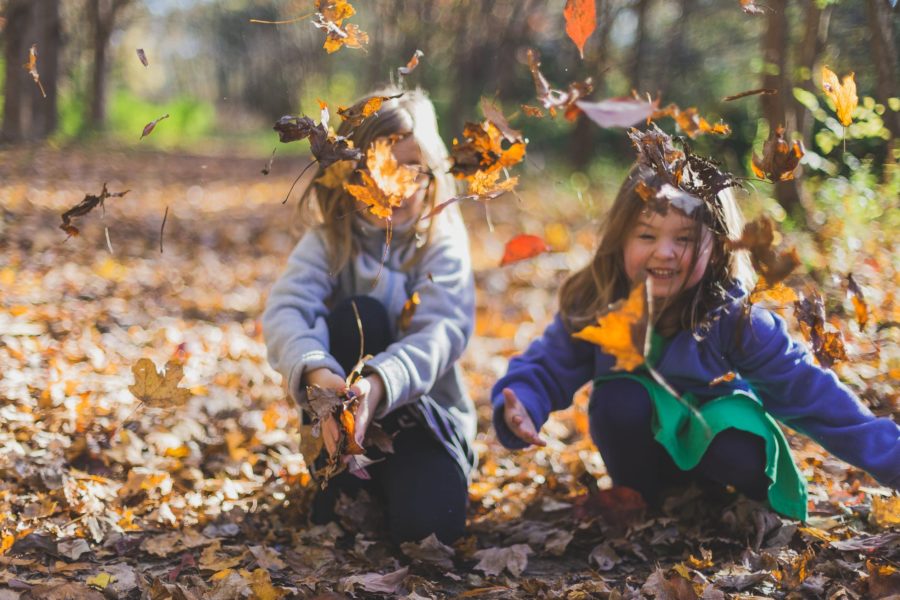 Two young children have fun throwing leaves up into the air.