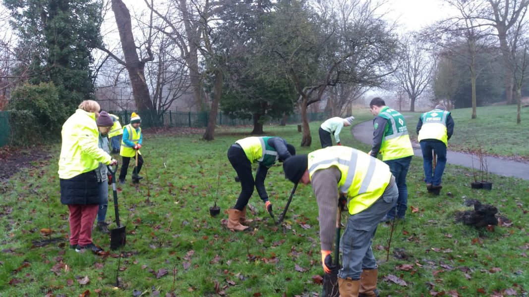 Chorlton Park Friends Group tree planting in the park