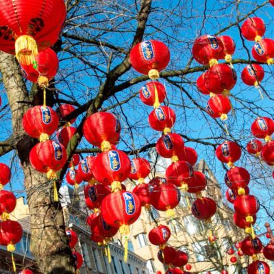 Red lanterns hang from a tree in St Anns Square for Chinese New Year.