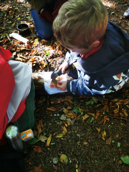 A small child sits on a forest floor making art from natural materials.