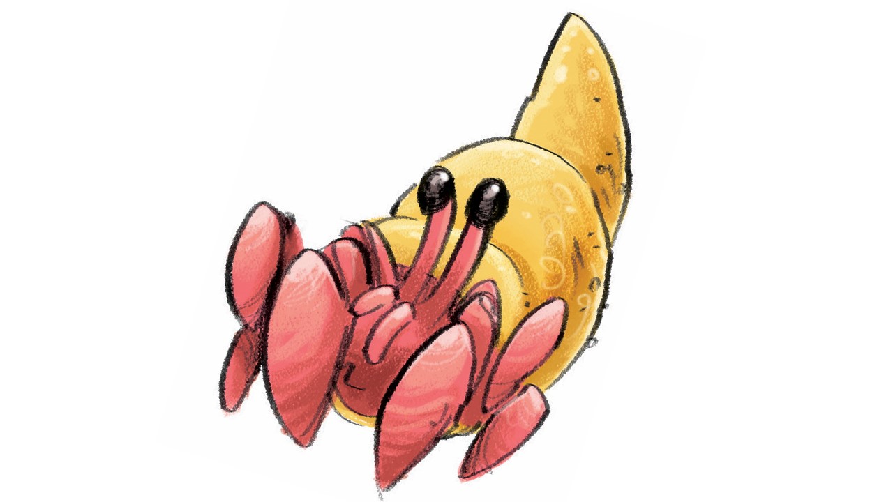Colourful illustration of a hermit crab.