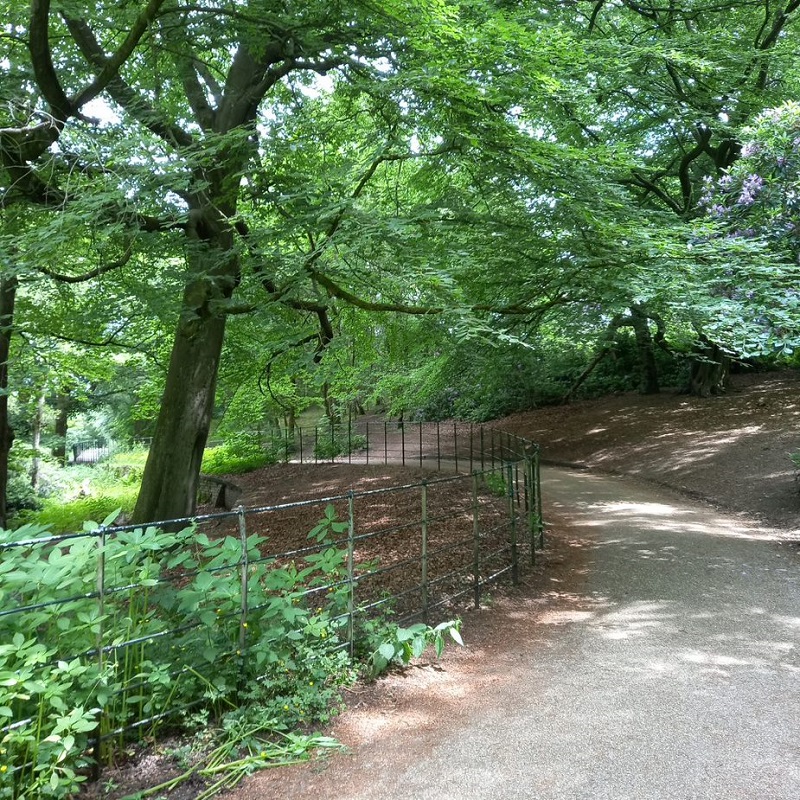 A tree-lined path in Heaton Park.