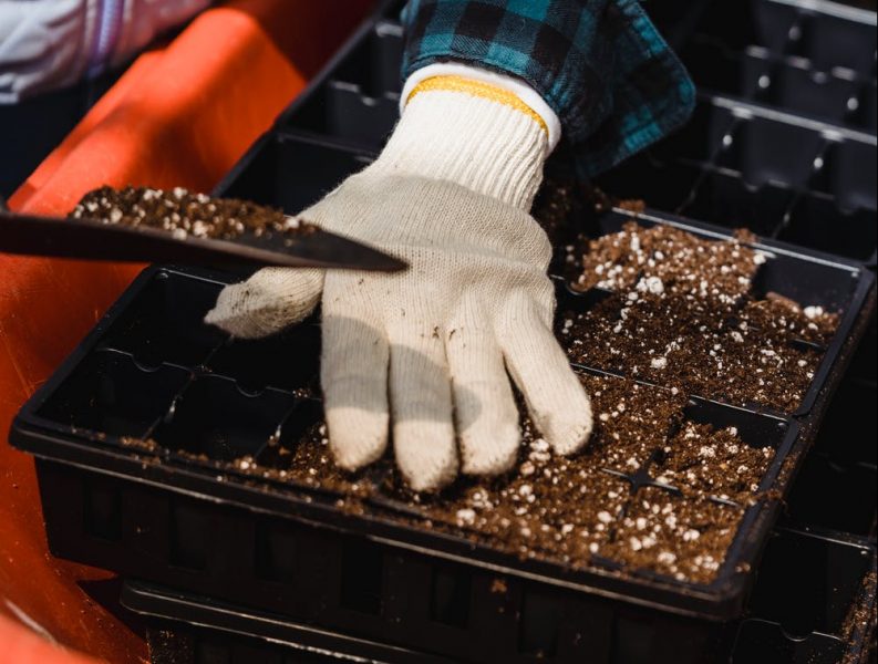 A close up of a pair of hands gardening