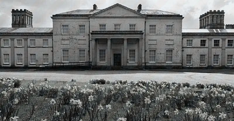 The outside of Heaton Hall with a grassy verge of daffodils in front.