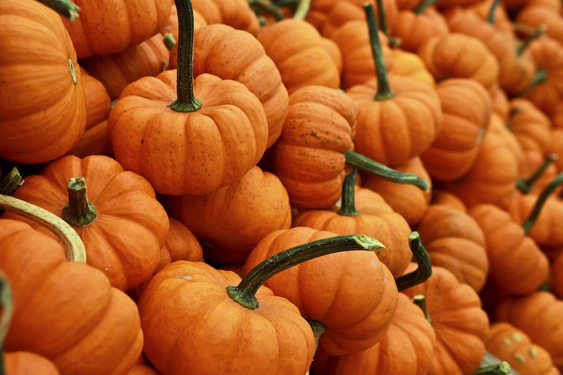 Stack of small orange pumpkins and gourds at an autumn market.