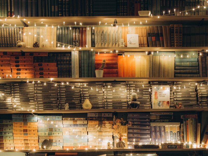 A packed bookshelf with twinkly fairy lights draped across it.