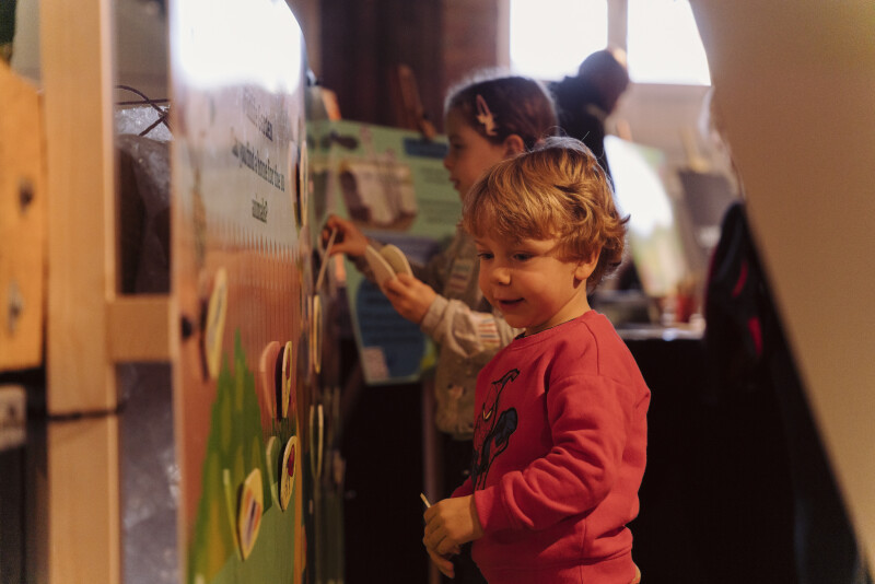 A young child playing with an interactive display of nature pictures
