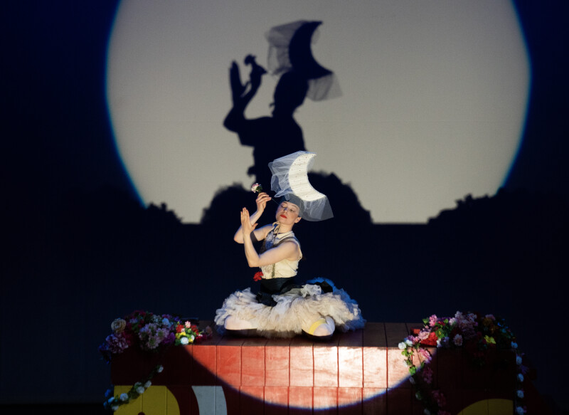 A performer kneels down on a stage and creates a shadow with upper body and hands that is projected as a silhouette onto the wall behind her.