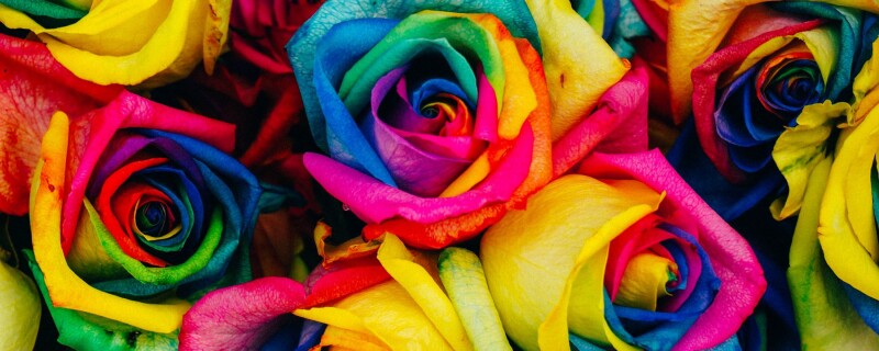 A bunch of roses in a rainbow of colours.