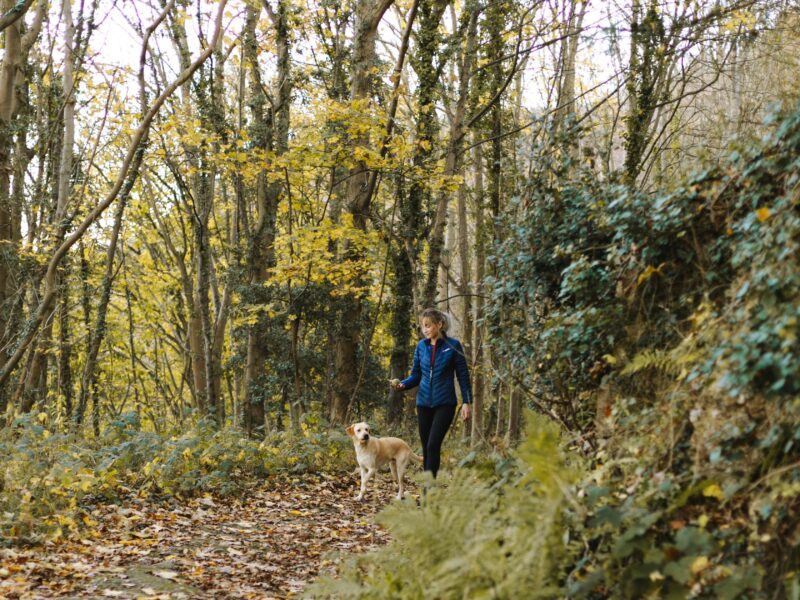A woman wearing a blue coat and her dog walk in the woods.