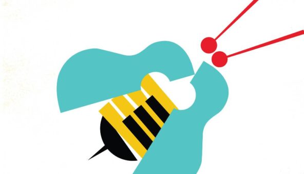 An illustration of a turquiose violin split in half with a black and yellow abstract drawing of a bee in side it. There are two red drum sticks at the head of the violin.
