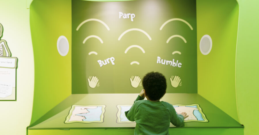 A small boy looking at an interactive display in Operation Ouch! Food, Poo and You