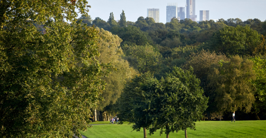 The grassy green field and trees at Heaton Park