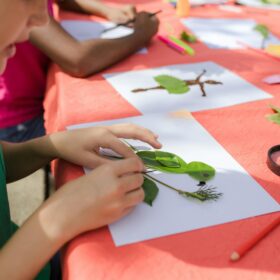 A child using leaves and collage to create a bird on a piece of white paper.