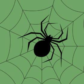 An illustration of a black spider on the middle of a web, on a green background.