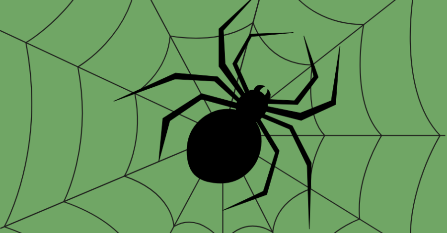 An illustration of a black spider on the middle of a web, on a green background.