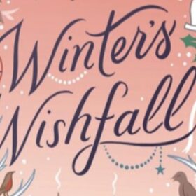 The words from the front cover of Dr Ceri Houlbrook's book, reading WInter's Wishfall.