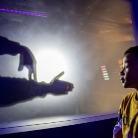 Boy watching hands making shadow puppets on a screen