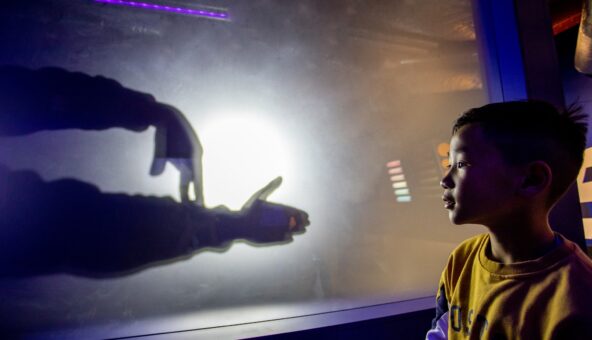 Boy watching hands making shadow puppets on a screen