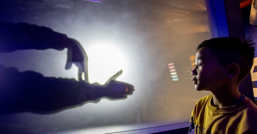 Boy watching hands making shadow puppets on a screen