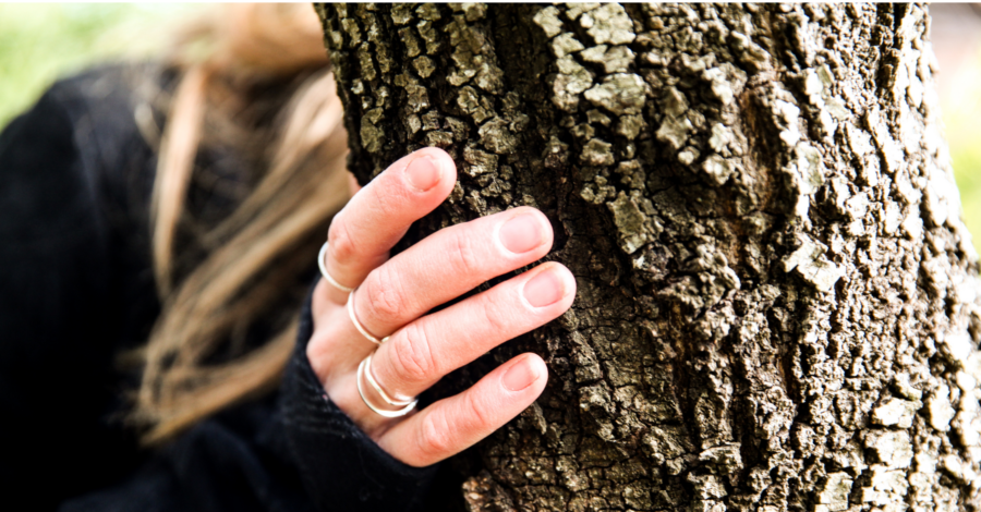 A Woman's hand touching the bark of a tree.