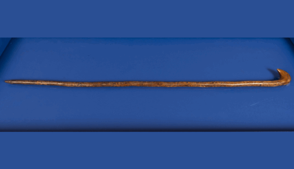 Image of curved wooden brown wood cane on a blue background.