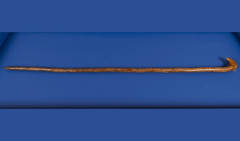 Image of curved wooden brown wood cane on a blue background.