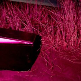 partially opened box that is lit inside on a deep purple background