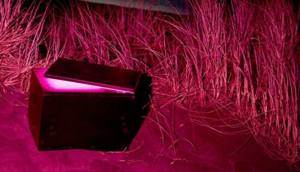 partially opened box that is lit inside on a deep purple background
