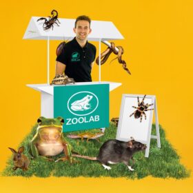 A Zoolab host surrounded by creatures like a snake, a scorpion and a tarantula.