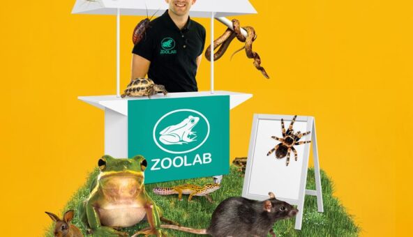 A Zoolab host surrounded by creatures like a snake, a scorpion and a tarantula.