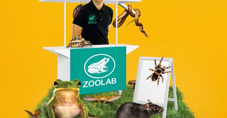 A Zoolab host surrounded by creatures like a snake, a scorpion and a tarantula.