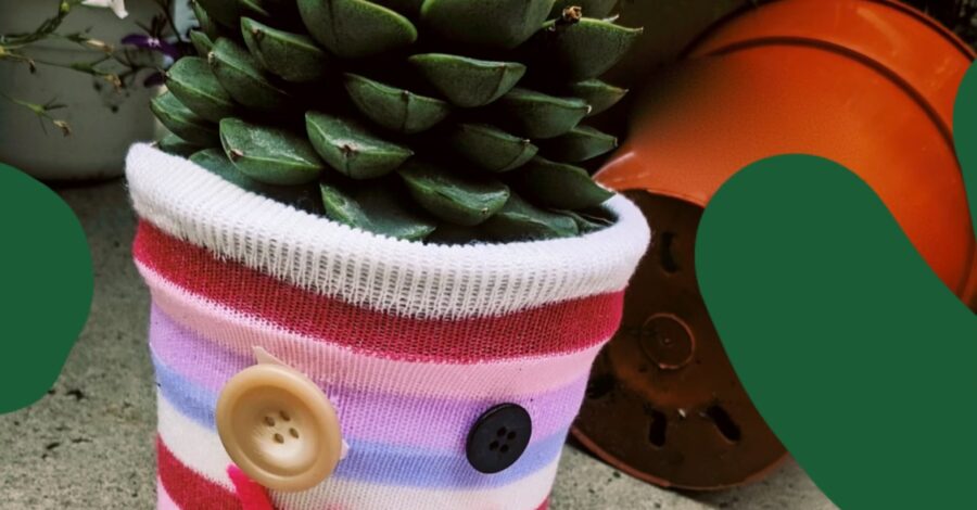 Plant in pot decorated with colourful sock