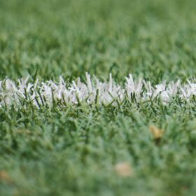 A close up of the green grass on a football pitch with a white line sprayed onto it.