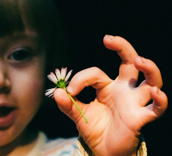 A close up of a small child's hand holding a daisy between their thumb and first finger.