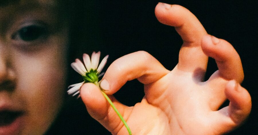 A close up of a small child's hand holding a daisy between their thumb and first finger.