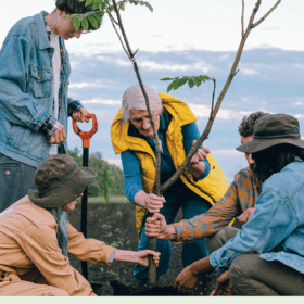 A group of five addults planting a tree together outside.