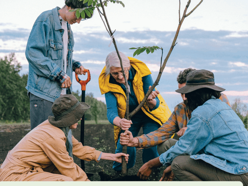 A group of five addults planting a tree together outside.