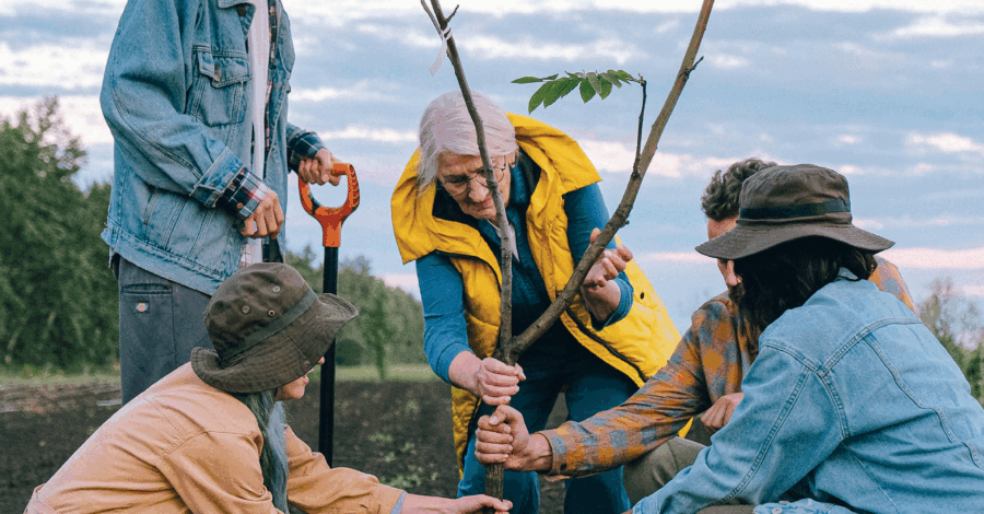 A group of five addults planting a tree together outside.