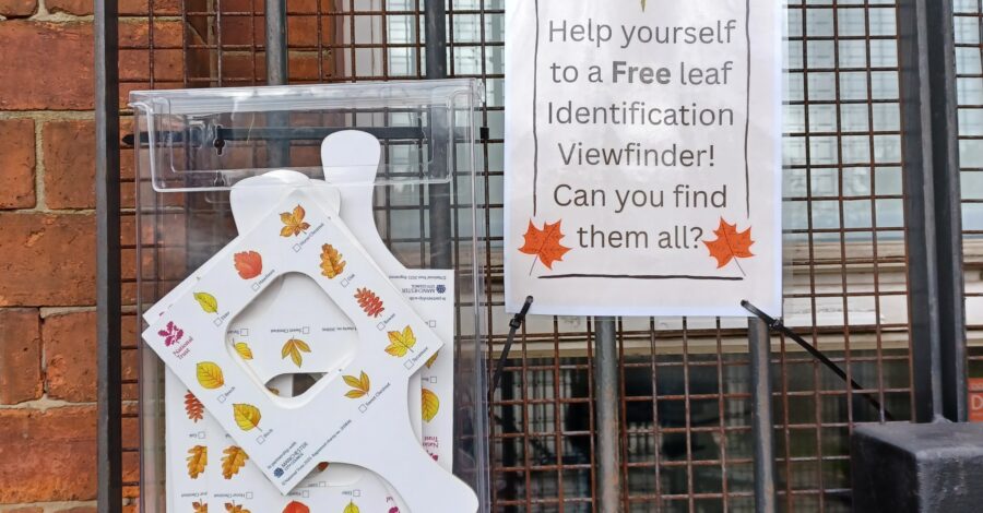 A leaf identification viewfinder and a poster inviting people to join the self-led leaf trail around Philips Park.