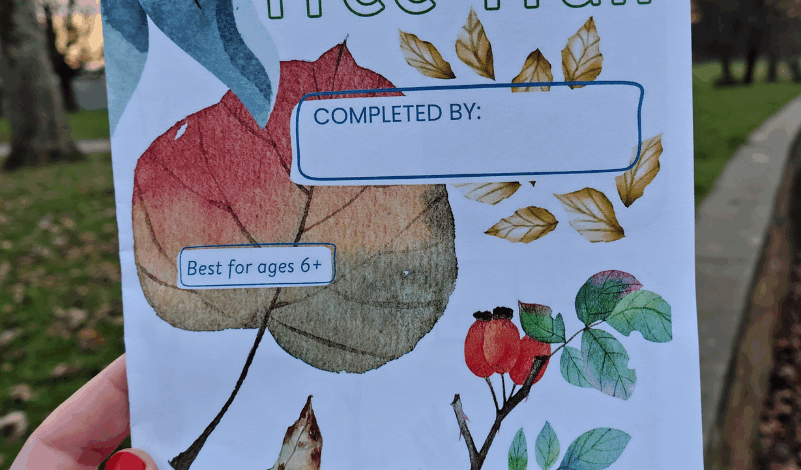 The front of the booklet for the Heaton Park tree trail. It has illustrations of leaves and plants on it and the title 'Heaton Park Tree Trail'