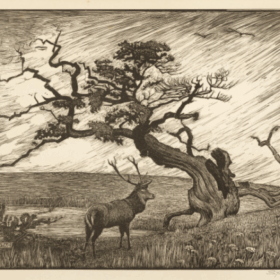 A wood engraving of a stag standing next to an oak tree.