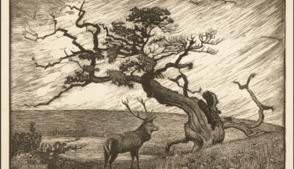 A wood engraving of a stag standing next to an oak tree.