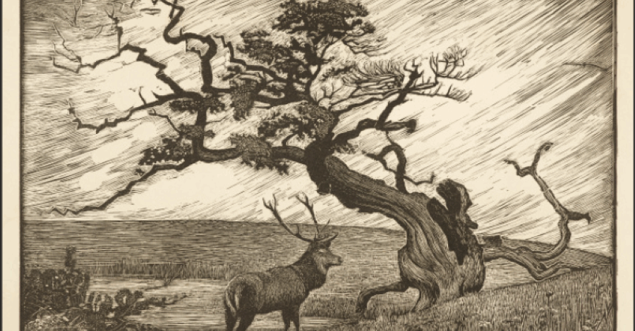 A wood engraving of a stag standing next to an oak tree.