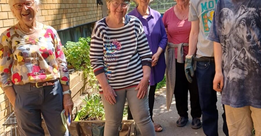 A group of people standing outside in a community garden on a sunny day.