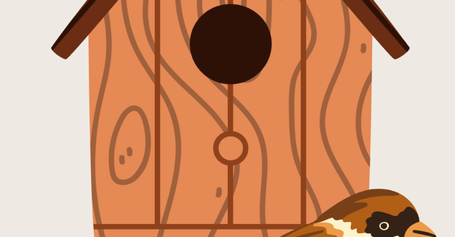 An illustration of a wooden bird feeder and a small bird which has feathers in different shades of brown, like a sparrow.