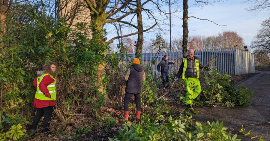 A group of people litter picking in Heaton Park on a sunny, dry day.