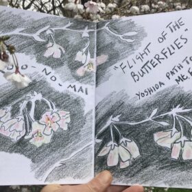A page of hand drawn blossom flowers with the words "Flight of the Butterfiles".