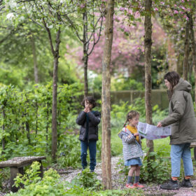 A family on the Bloomtown Trail in Manchester playing among the blossom trees.